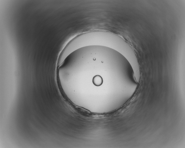 X0000110930052200907161547