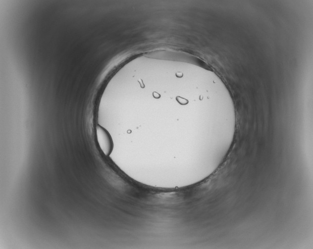 X0000110930054200907161547