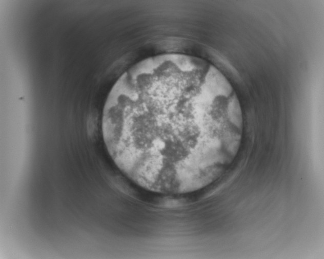 X0000110930073200907161547