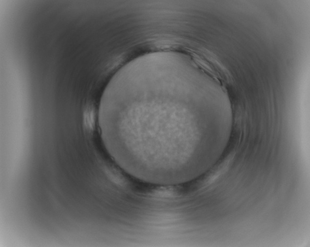 X0000110930076200907161547