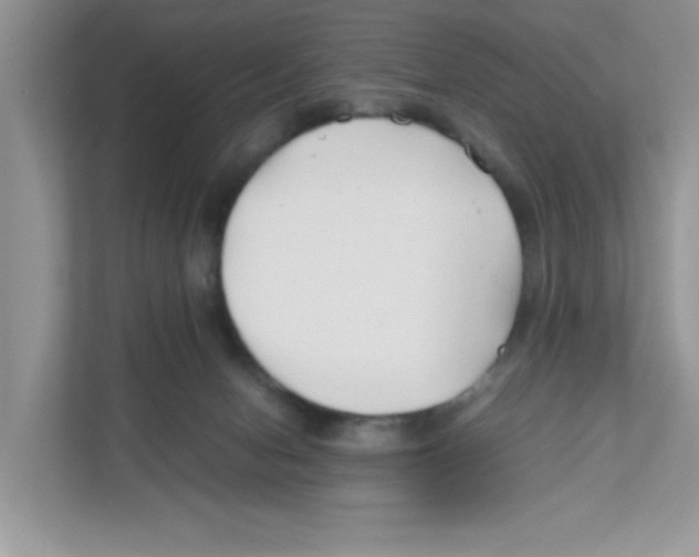 X0000110930078200907161547