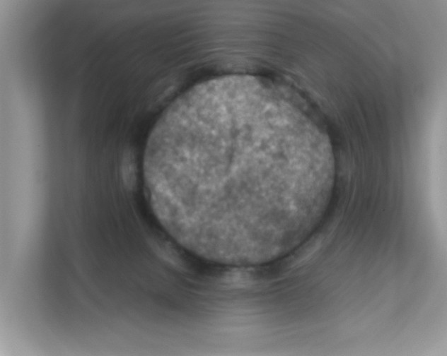 X0000110930080200907161547