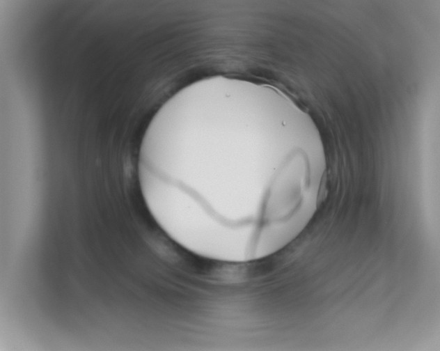 X0000110930084200907161548