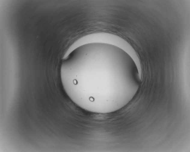 X0000110930088200907161548