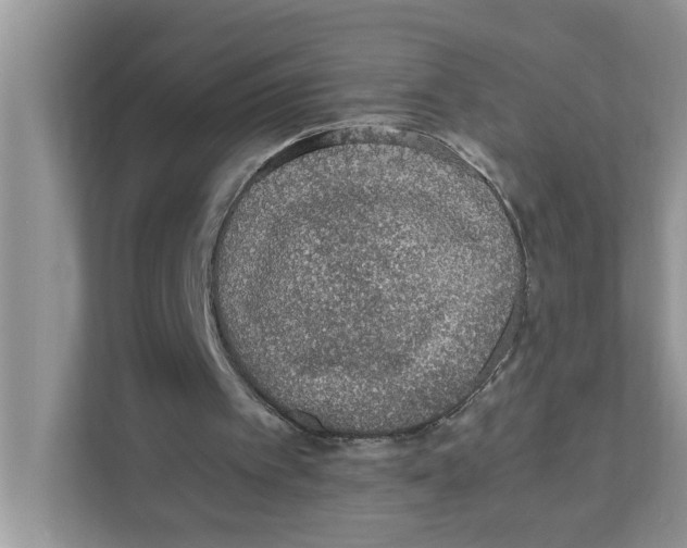 X0000110930097200907161547