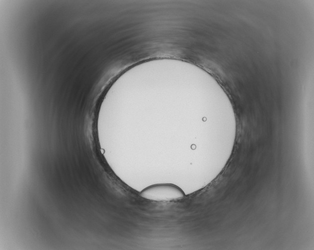 X0000110930098200907161547