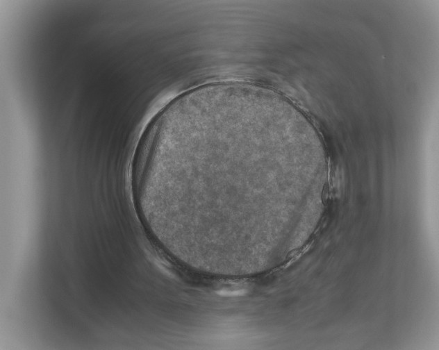 X0000110930099200907161547