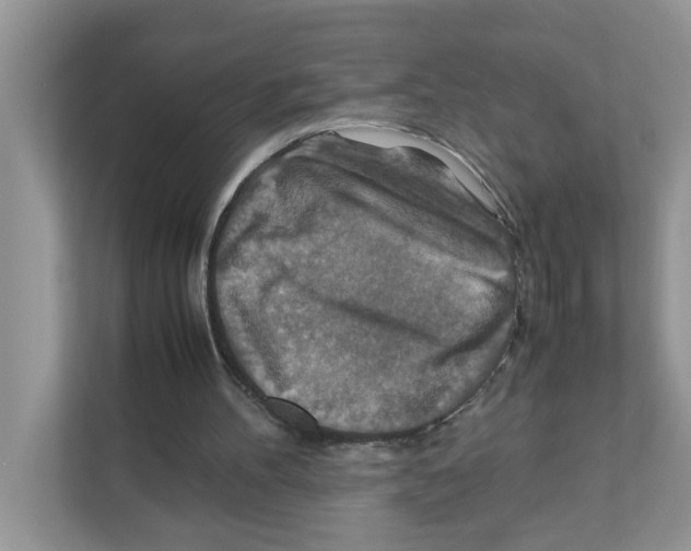X0000110930100200907161547