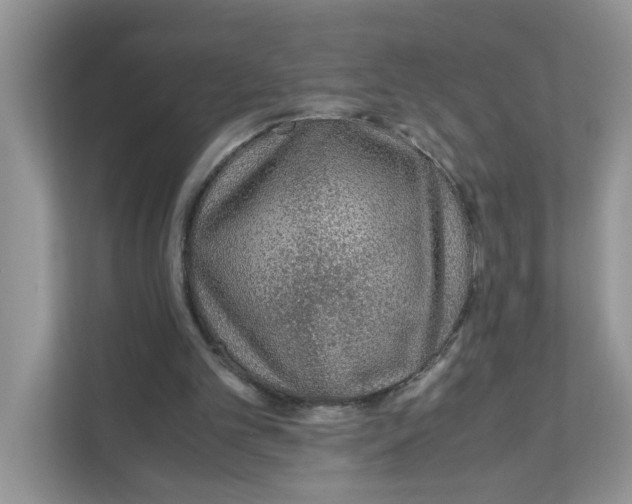 X0000110930101200907161547