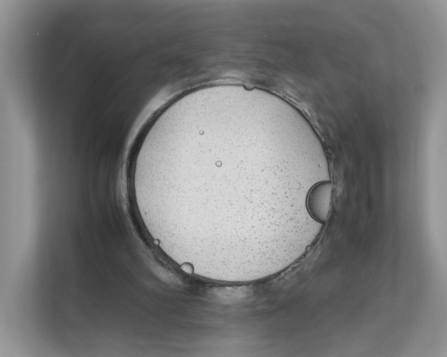 X0000110930102200907161547