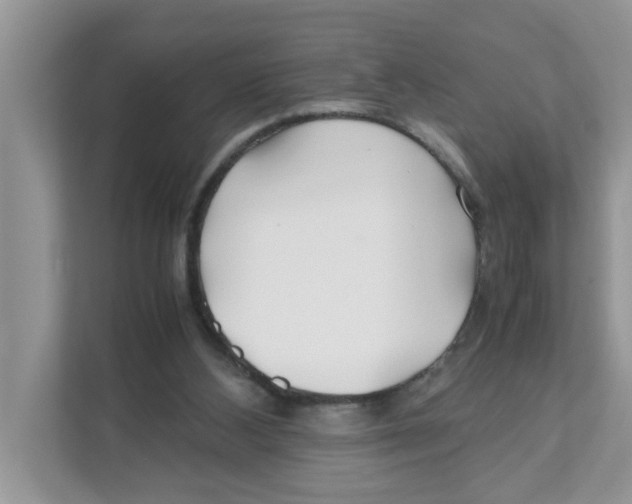 X0000110930108200907161547