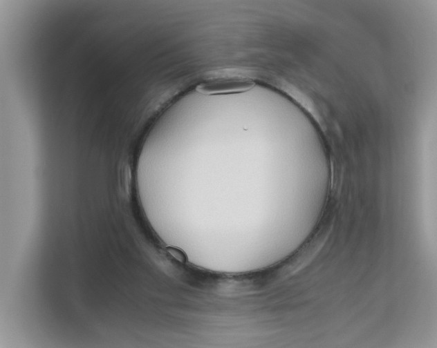 X0000110930109200907161547