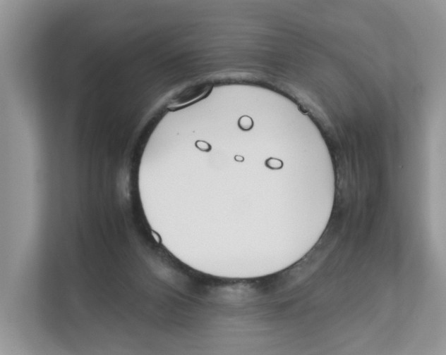 X0000110930112200907161547