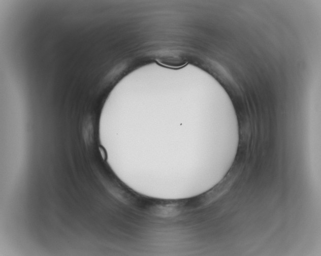 X0000110930120200907161547