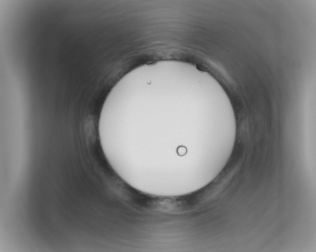 X0000110930121200907161547