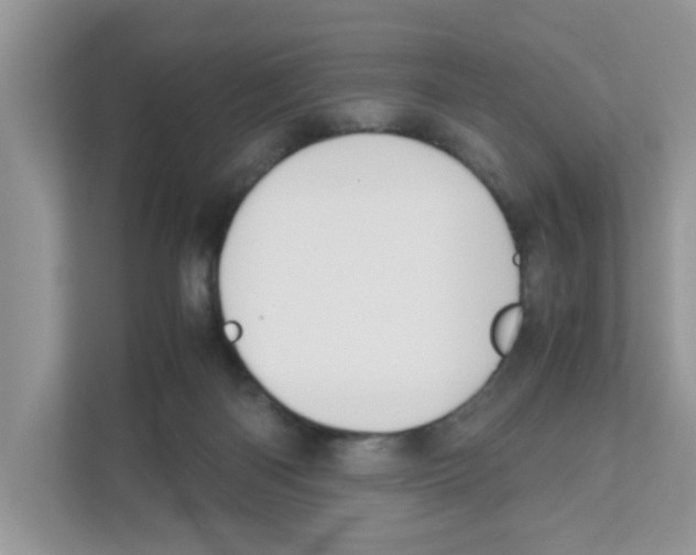 X0000110930122200907161547
