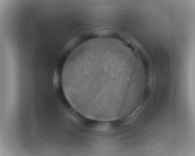 X0000110930124200907161547