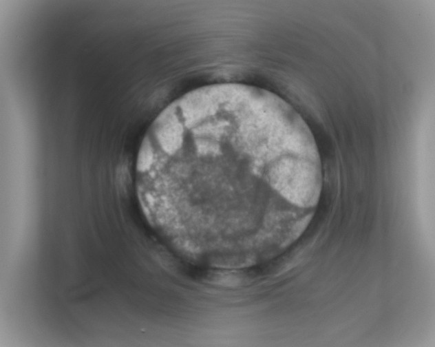 X0000110930127200907161547