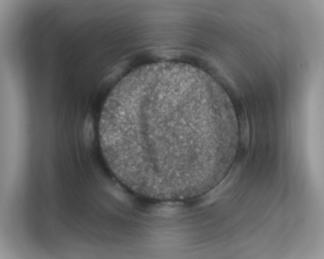 X0000110930128200907161547