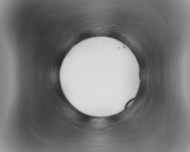 X0000110930133200907161547