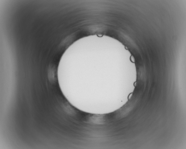 X0000110930138200907161547