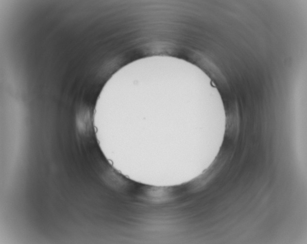 X0000110930142200907161546