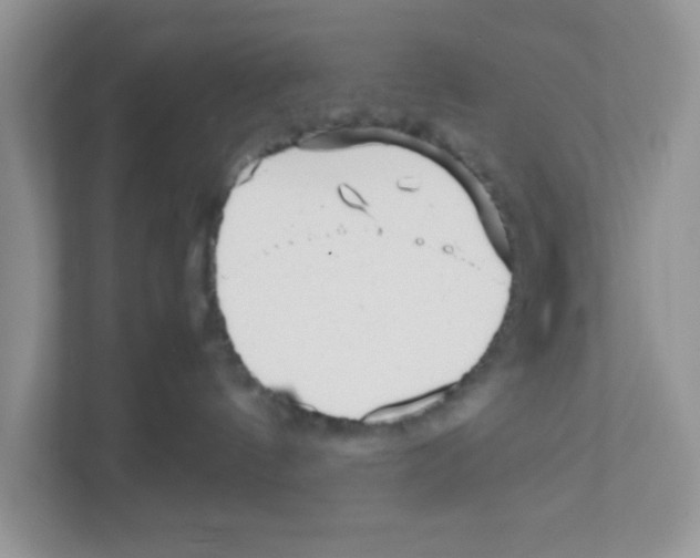 X0000110930144200907161546
