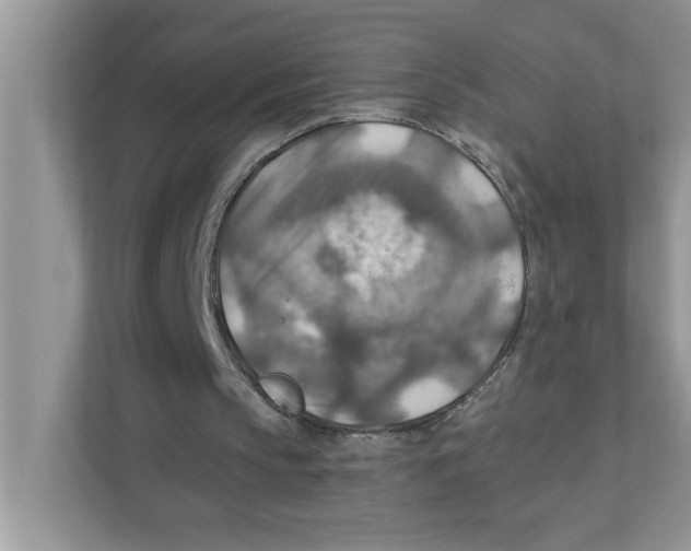 X0000110930145200907161546