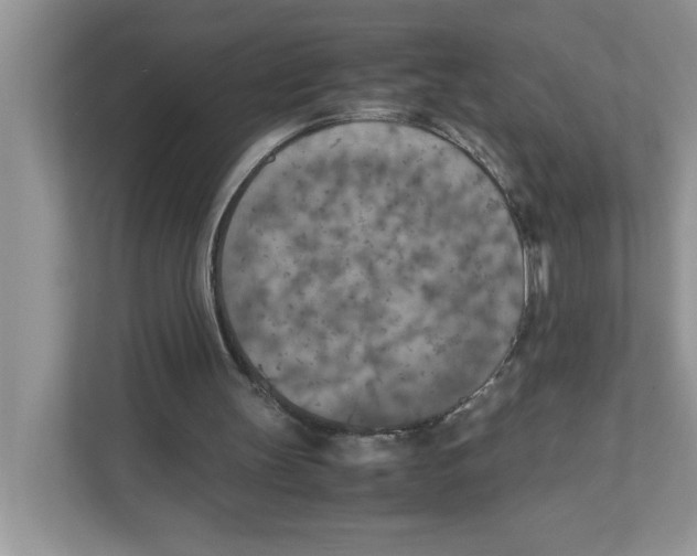 X0000110930147200907161546
