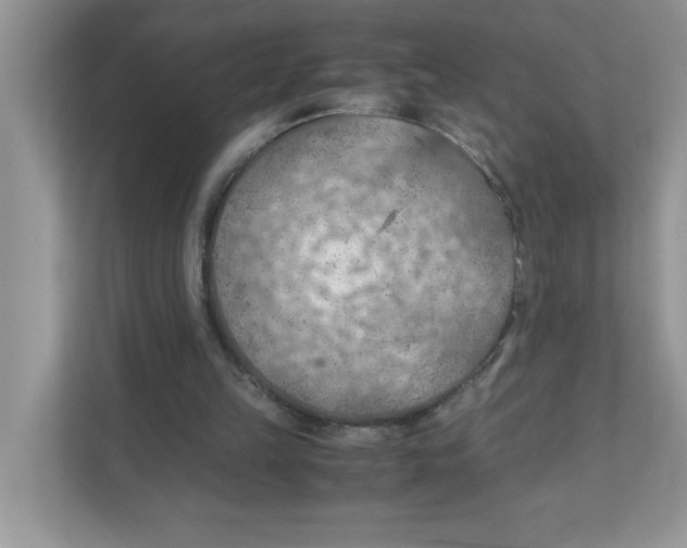 X0000110930149200907161546