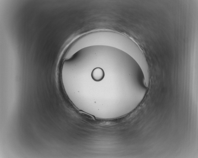 X0000110930152200907161546