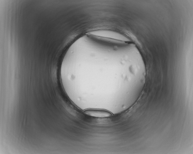 X0000110930154200907161546