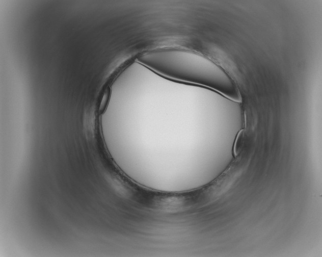 X0000110930156200907161546