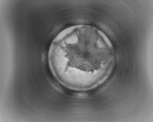 X0000110930165200907161546