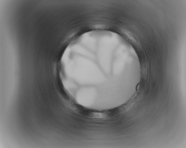 X0000110930167200907161546