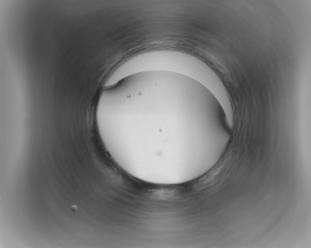 X0000110930168200907161546