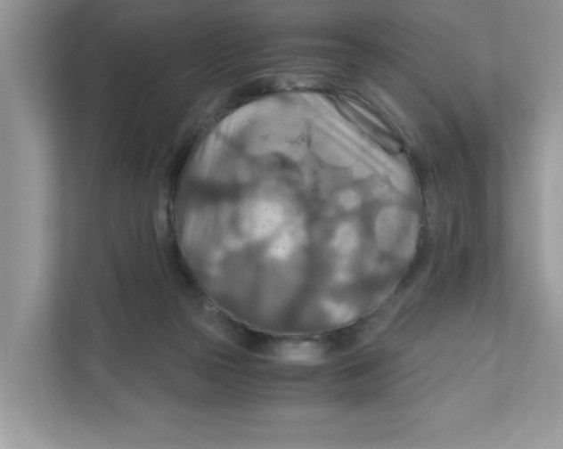 X0000110930169200907161546