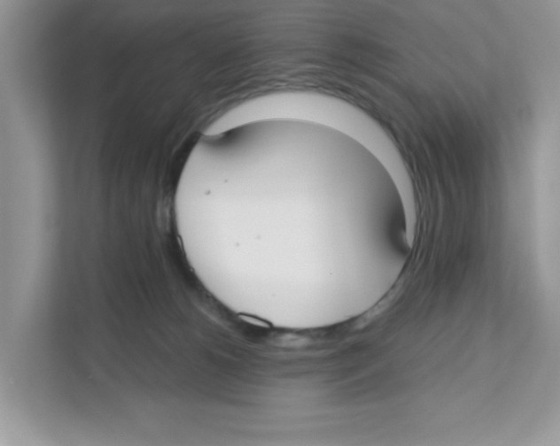 X0000110930180200907161546