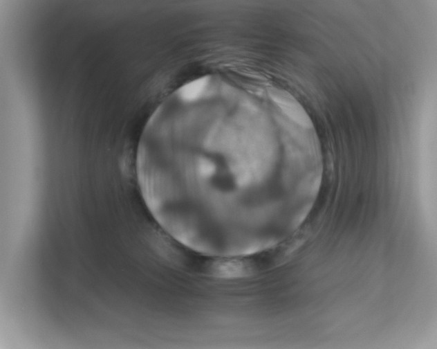 X0000110930181200907161546