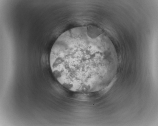 X0000110930182200907161546