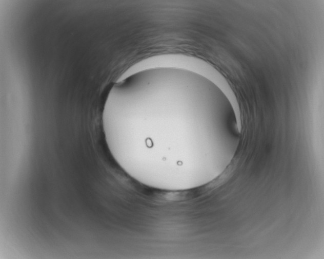 X0000110930184200907161546