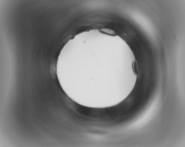 X0000110930190200907161546