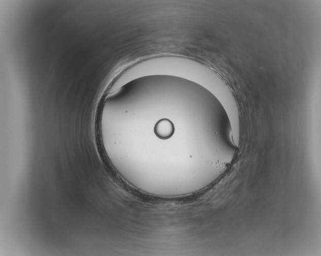 X0000110930195200907161546