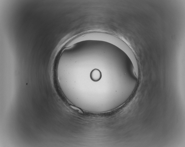 X0000110930199200907161546