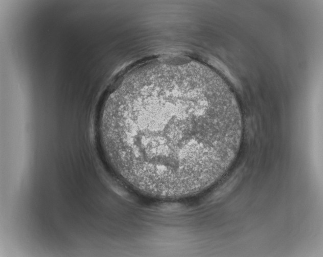 X0000110930203200907161546