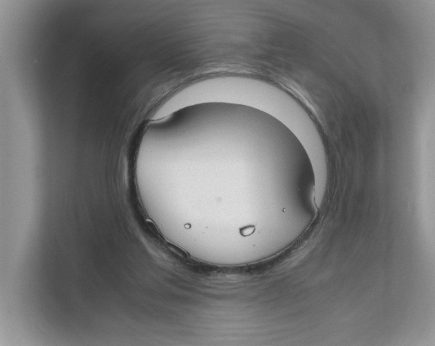 X0000110930205200907161546