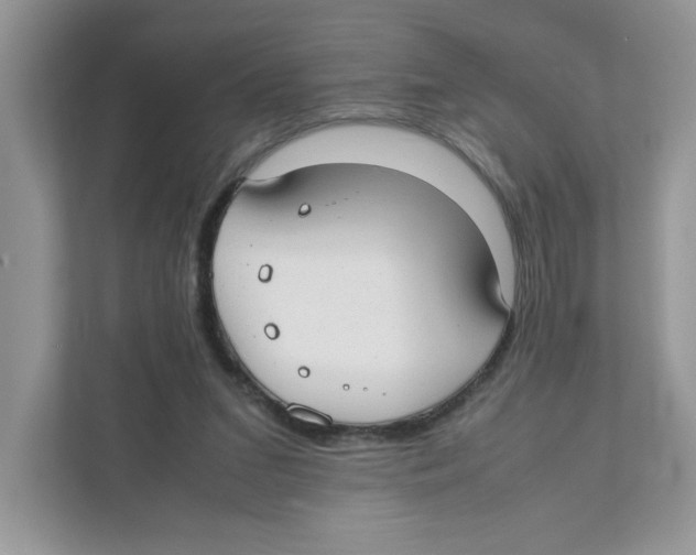 X0000110930207200907161546