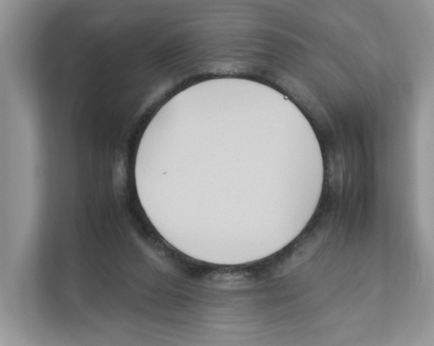 X0000110930208200907161546