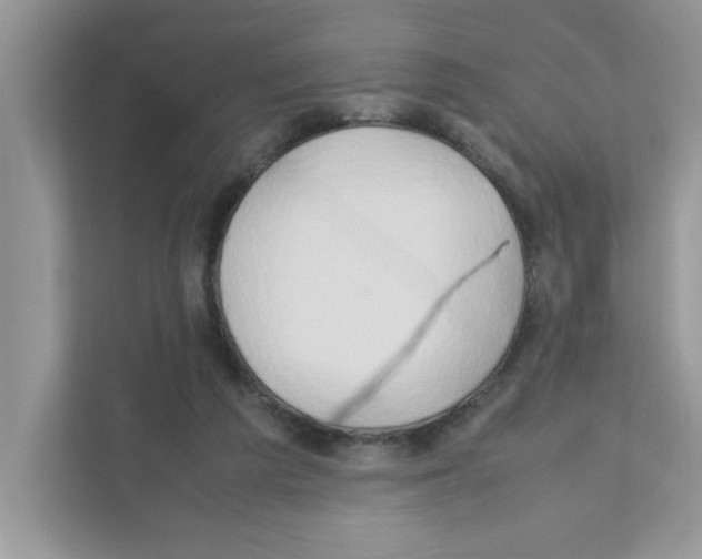 X0000110930209200907161546