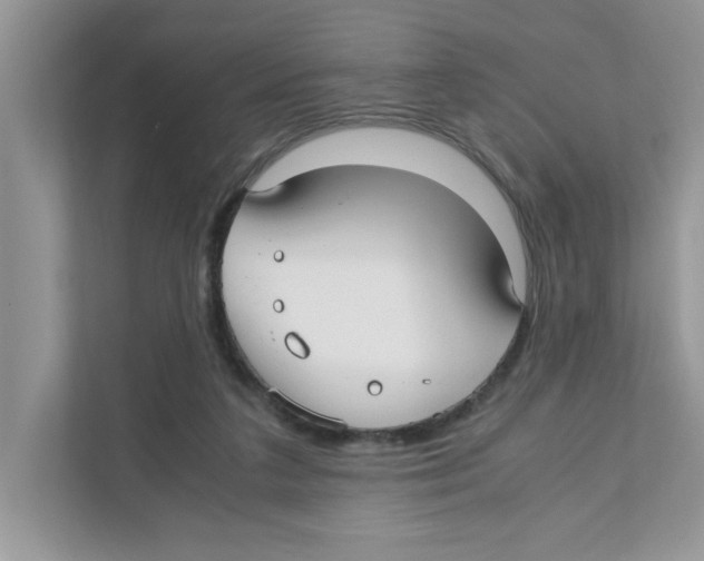 X0000110930211200907161546
